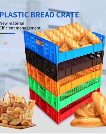 WhatsApp Image 2025-06-14 at 4.17.20 AM