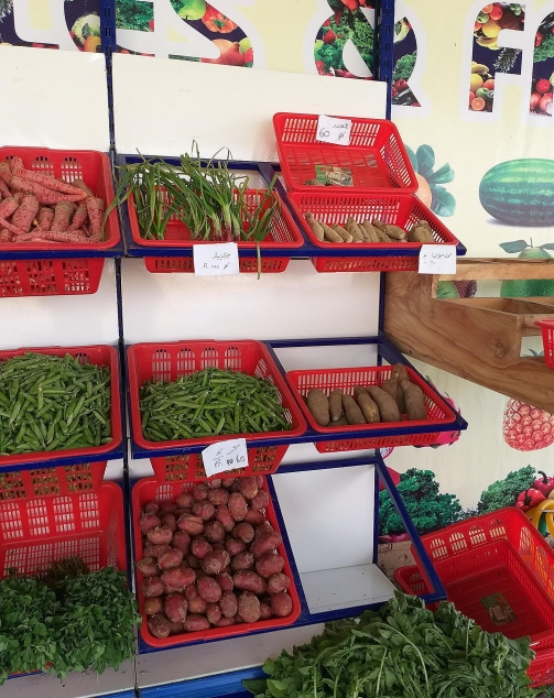 WhatsApp Image 2025-06-15 at 12.18.11 AM_HD_compressed